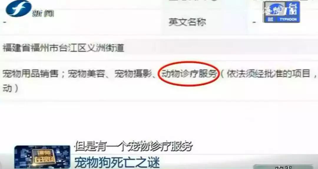 宠物店签订协议寄养死了怎么赔偿,为什么幼犬会在一夜之间莫名死亡