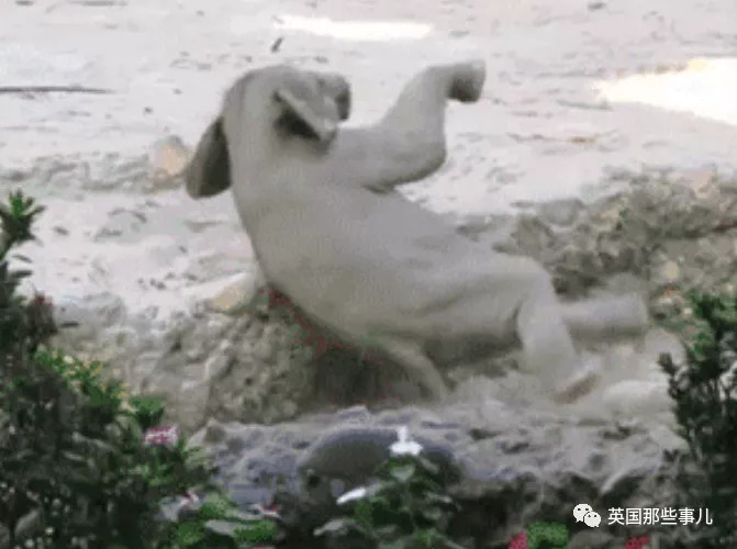 ta身上最吸引你的地方,天蝎男让人着迷的闪光点