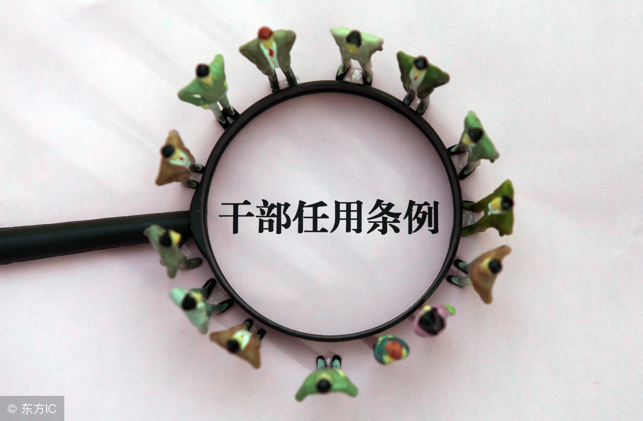 企业不大，却比国家领导人还忙，到底为什么？