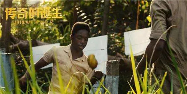 贝利天赋最强搭配,贝利创造的奇迹