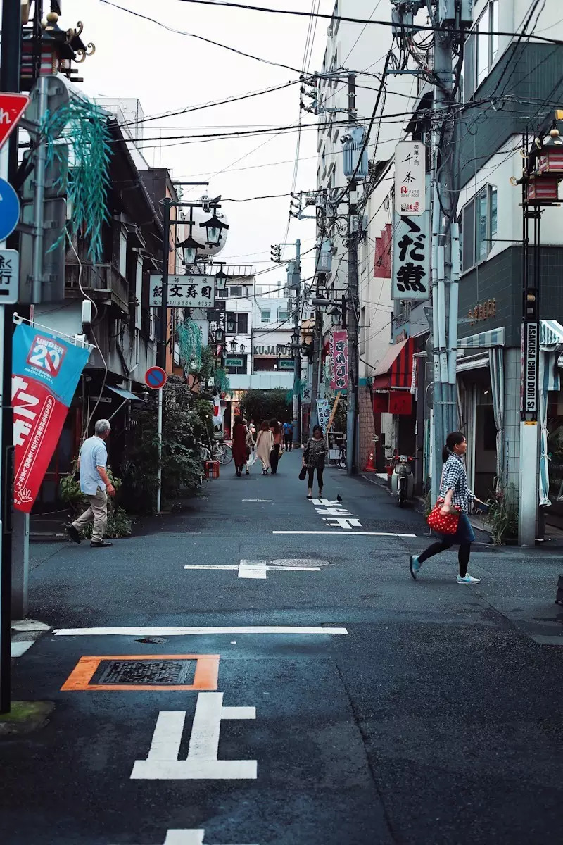日本东京京都游记,生活在别处苏晴小说
