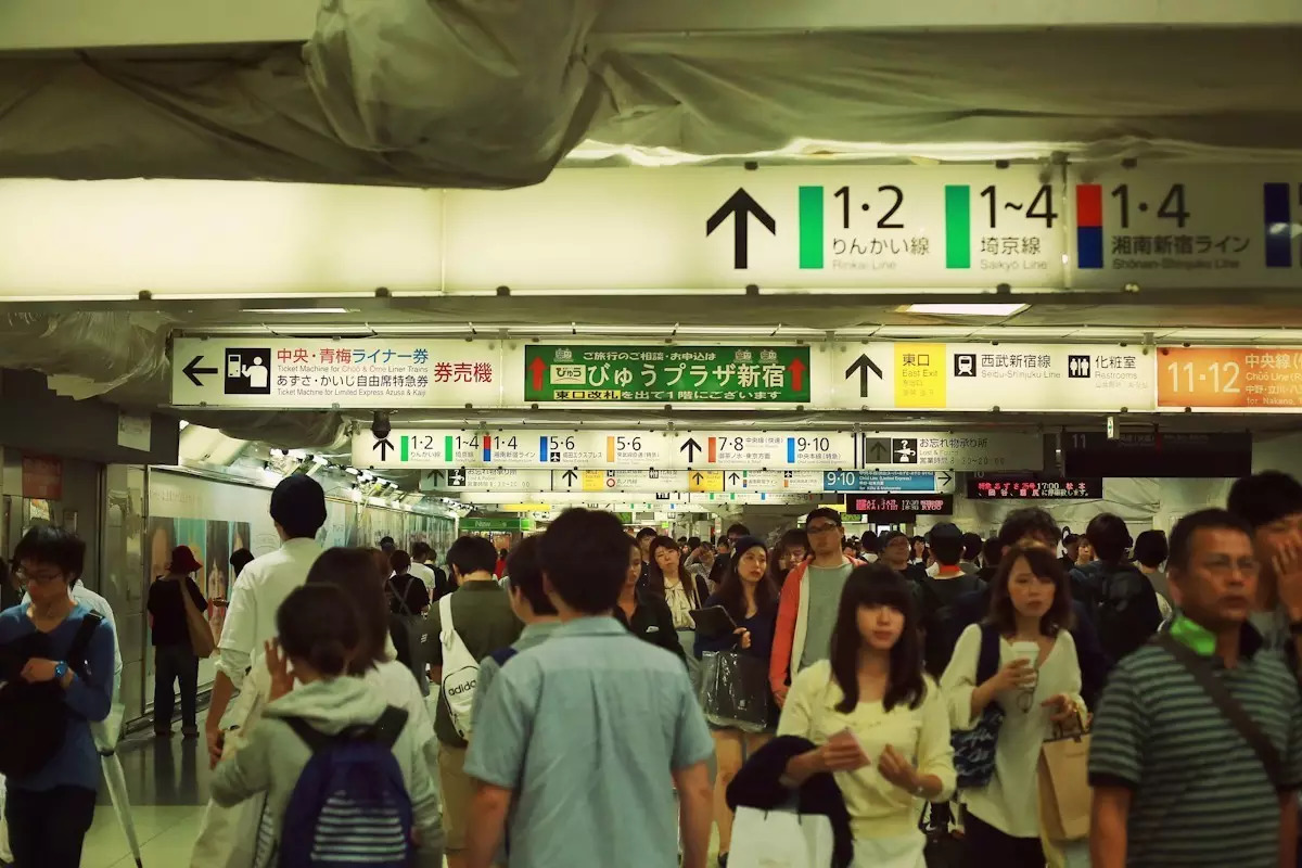 日本东京京都游记,生活在别处苏晴小说