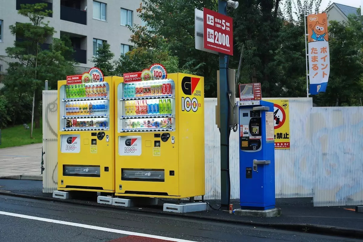日本东京京都游记,生活在别处苏晴小说
