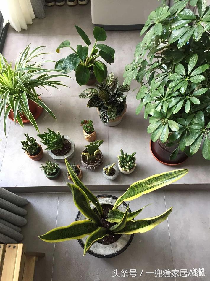 年轻人,谁不是一边感叹房子小,一边在小房子里拼命折腾?