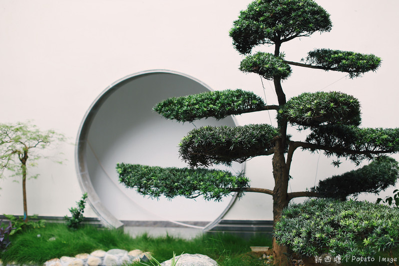 杭州两天一夜旅游西塘攻略,周庄同里乌镇西塘小桥流水