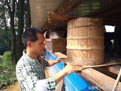 靠山吃山适合养蜂吗,靠山吃山致富行业