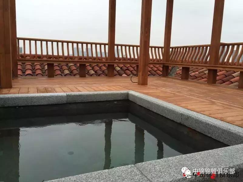 楼顶鱼池有哪些,屋顶鱼池的建造方法