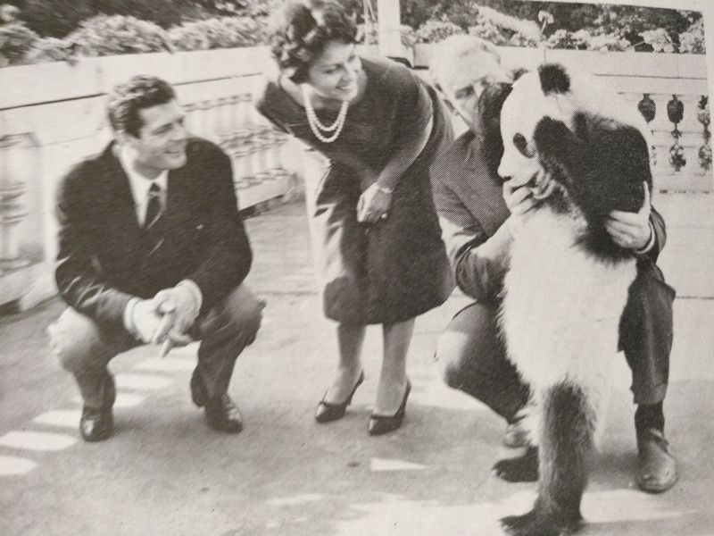 滚滚故事：大熊猫拒绝“包办婚姻”