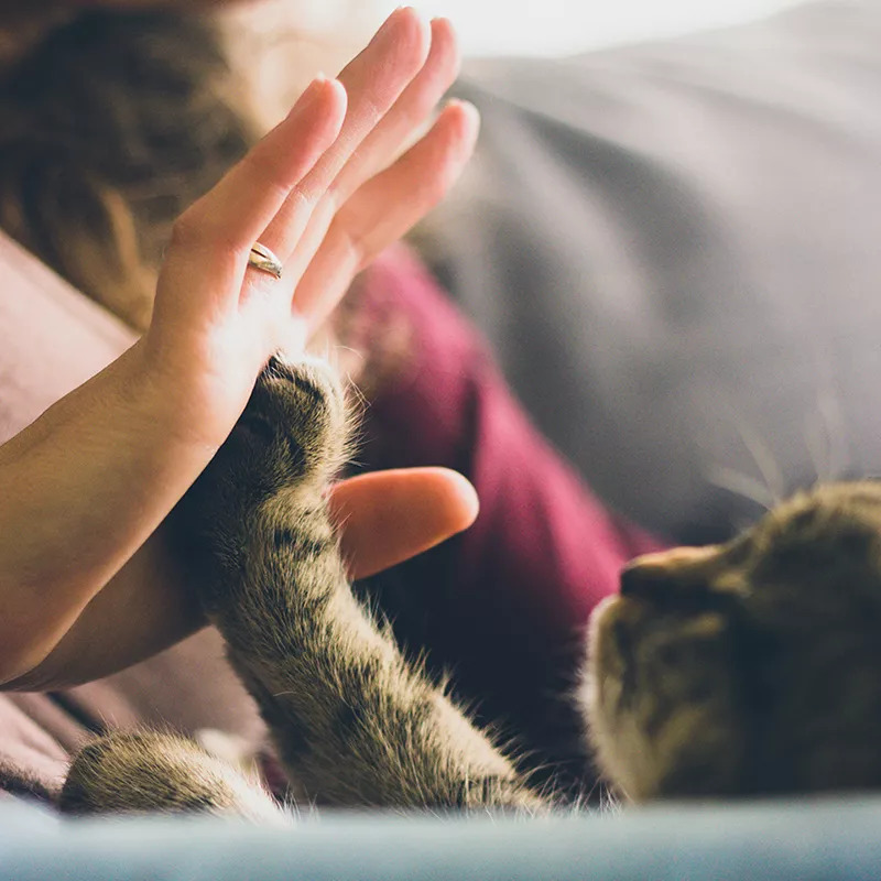 脸上长小红点冒白点,新生儿脸上起小红点是怎么回事