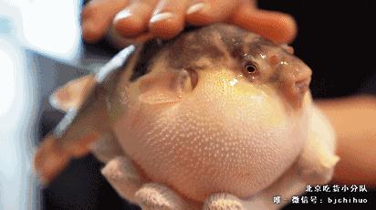 西单大悦城附近美食推荐排行榜,西单美食甜品