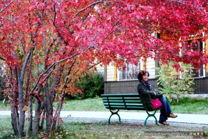 国庆伏尔加庄园,哈尔滨伏尔加庄园三日游