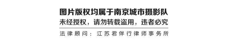 鼓楼70岁的老人免费吗,鼓楼60岁以上老人免票吗