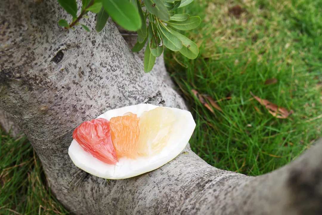 甜蜜时令柚子礼盒,甜蜜柚礼盒