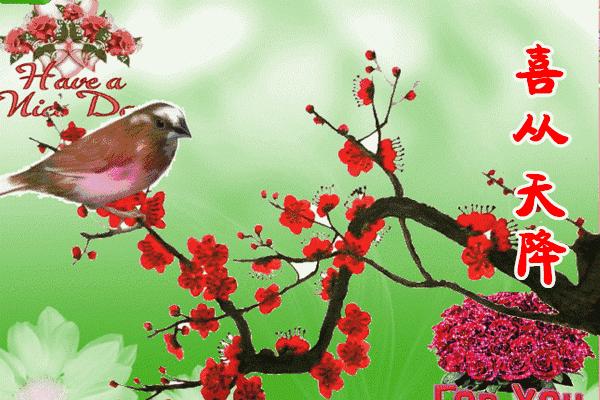 祝你2019年越来越好,祝你永远年轻漂亮开心图片