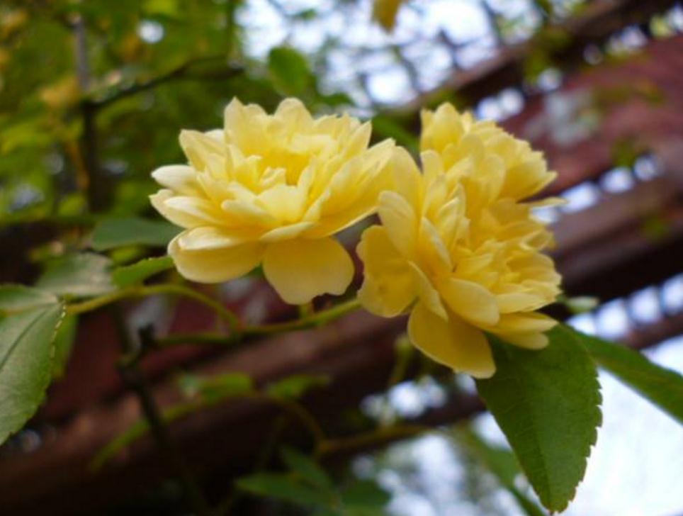 当你一无所有的时候要怎么活,当你一无所有的时候折腾