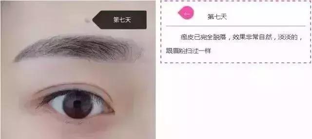 纹眉后一周眉毛变化过程,纹眉后1到七天的变化图
