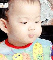 汕头人一般在哪吃海鲜,汕头人喜欢吃的海鲜