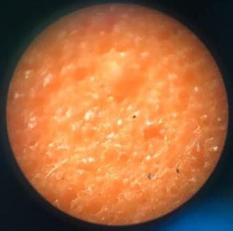 国狂为什么价格不一样,国狂什么样子