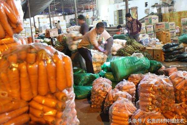 农村人怎样创业赚钱最快的方法,农村暴利创业13个点子防骗