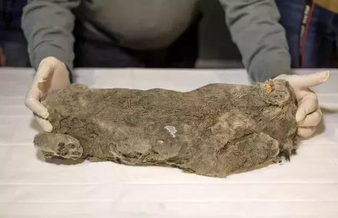 十大爆文标题技巧有哪些,5分钟学会自媒体爆文标题创作