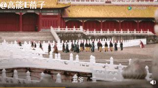 辛芷蕾看如懿传,辛芷蕾如懿传计谋