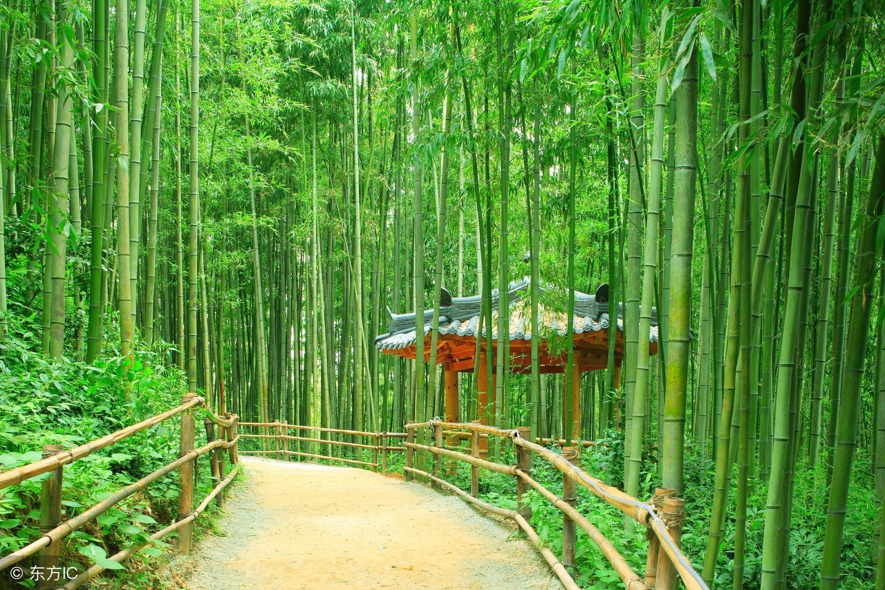 大门对阳台破败不聚财,大门对阳台为什么不聚财