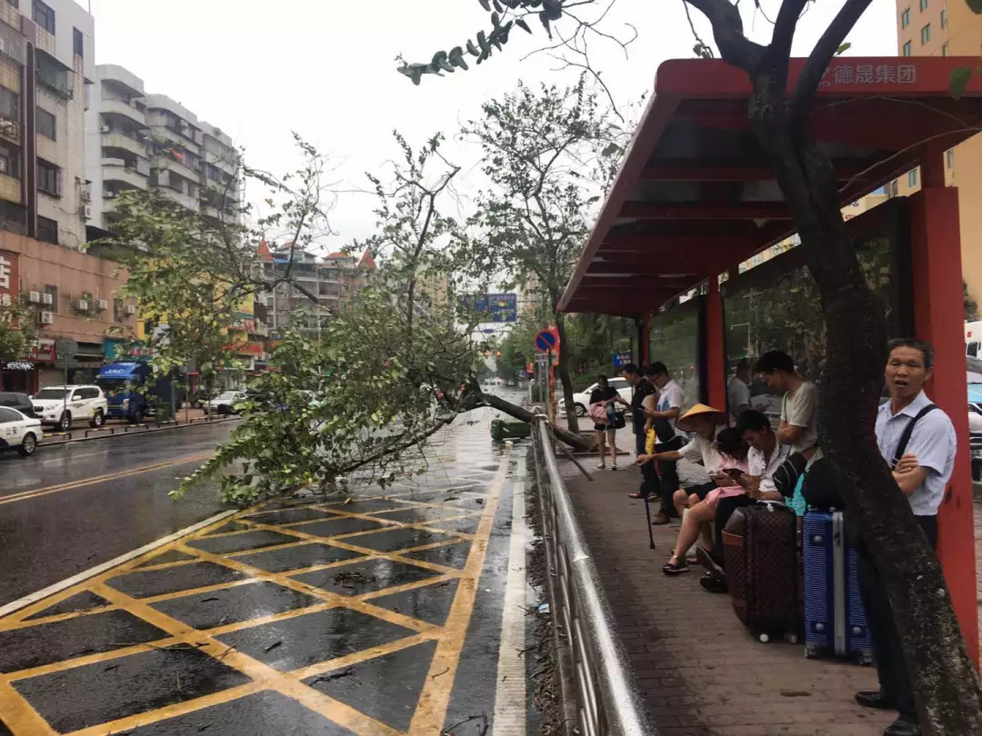 广东清远台风最新通知,台风苏拉登陆广东清远会停课吗