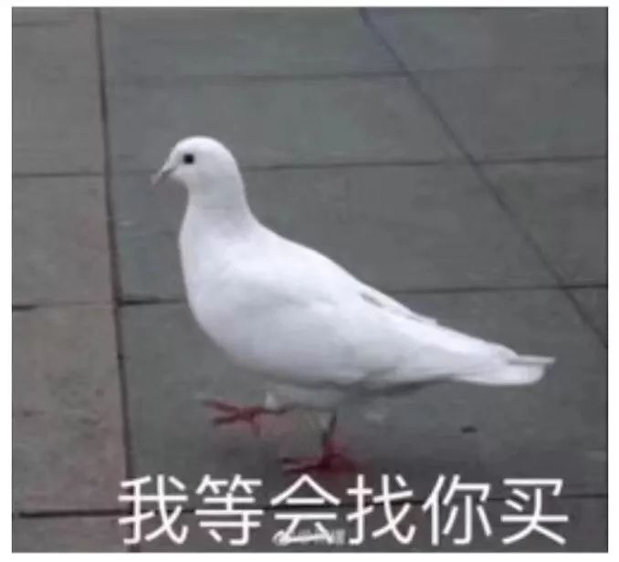 我还是个学生啊!你怎么能拉黑我这样的奇葩记者艺术家,扎心了!