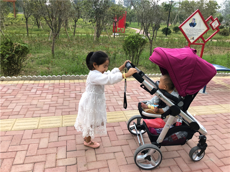 轻便高景观婴儿推车最强测评,高景观轻便双向婴儿推车推荐