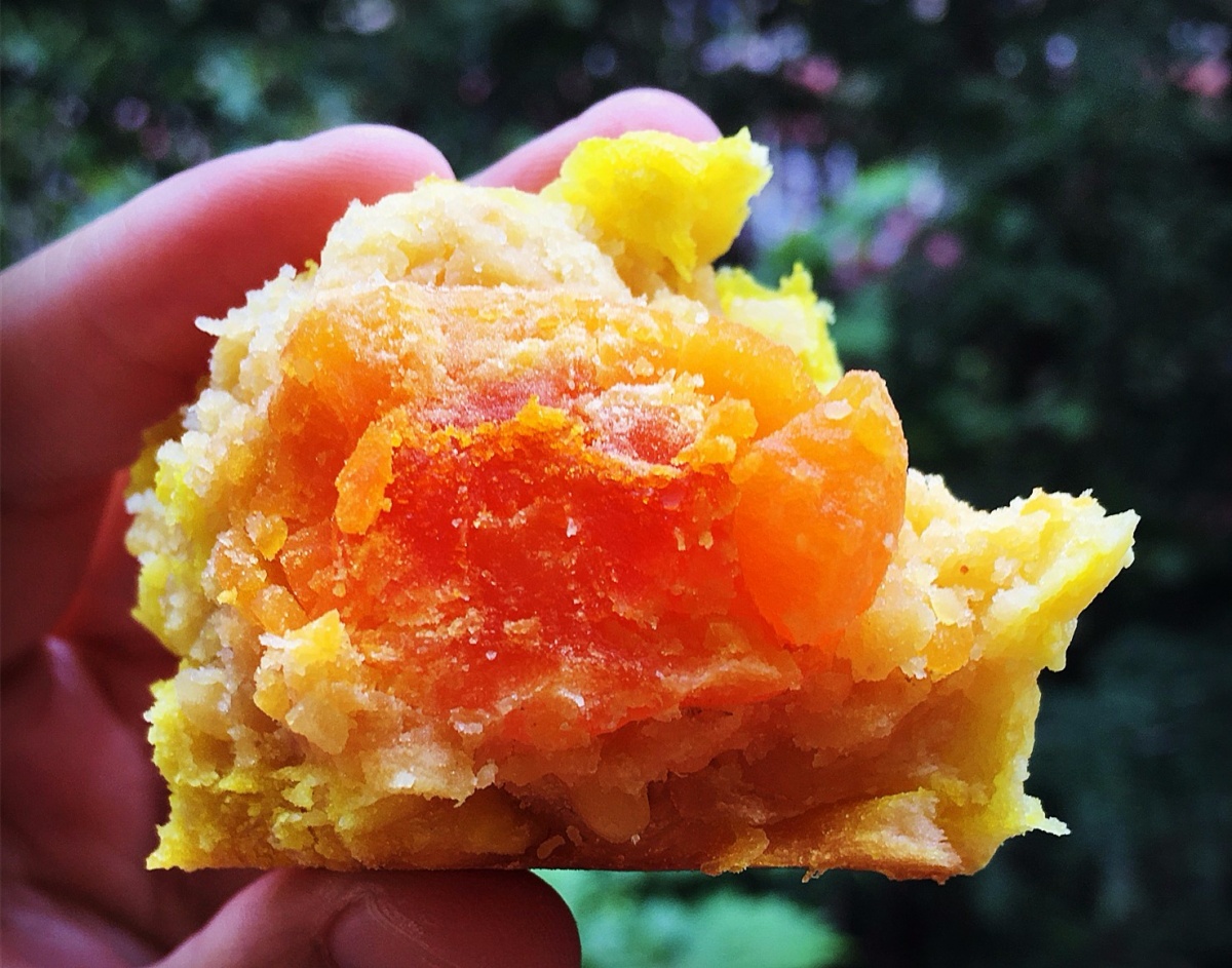 娣樺疂濂藉悆鐨勮泲榛勯叆鎺ㄨ崘,娣樺疂搴椾笂鐨勮泲榛勯叆