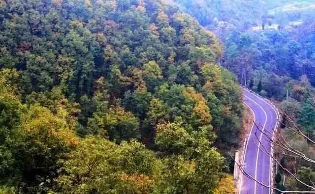 河南十大最美公路自驾游,河南自驾最漂亮的风景