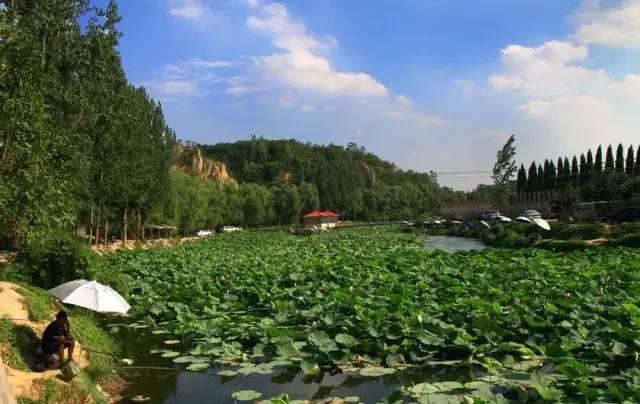 河南露营自驾游推荐,春节河南自驾露营最佳地方