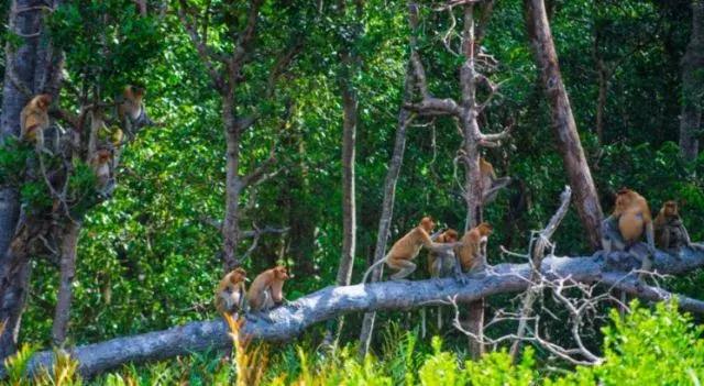 马来西亚沙巴度假海岛,马来西亚的沙巴