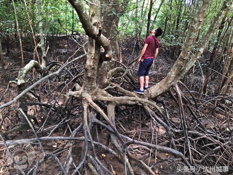 泰国小众岛屿沙美岛,泰国小众岛屿日落