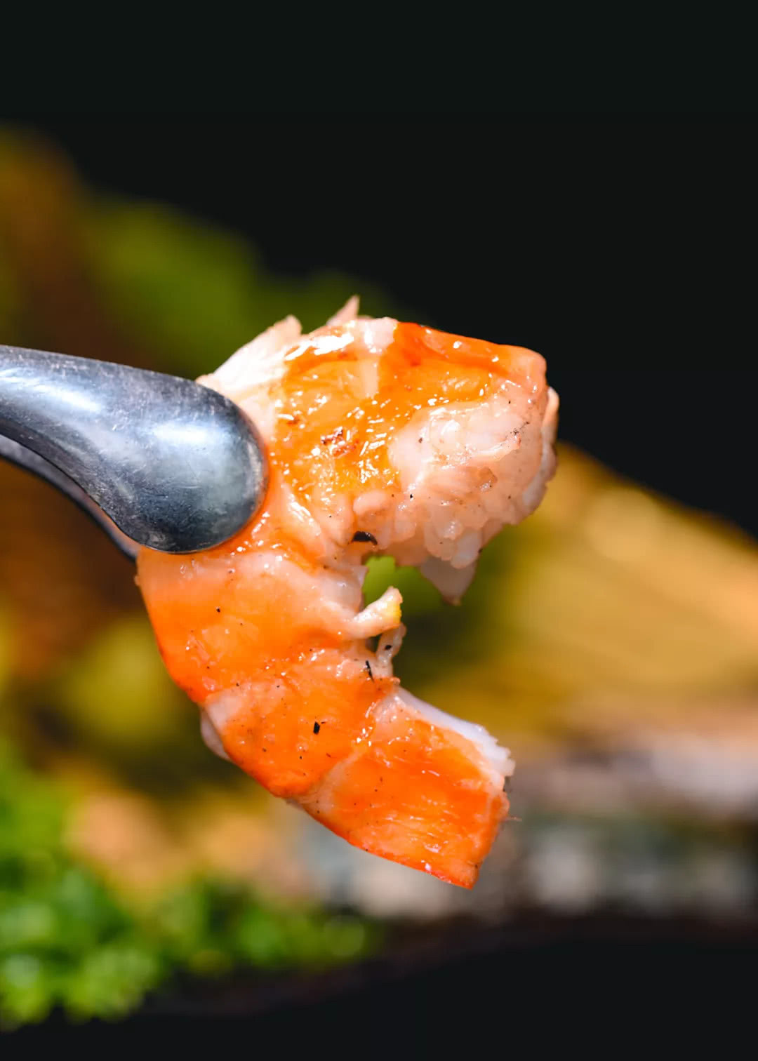 M10级烤肉!体育西的烤肉之王,持续称霸广州TOP1!