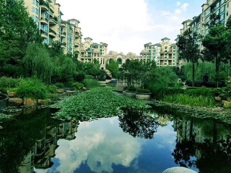 合肥恒大华府和保利香槟国际学区,万科金域华府和保利香槟国际