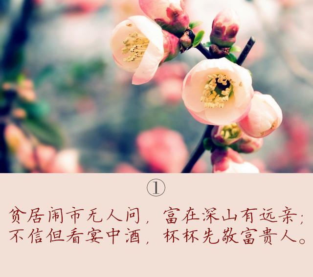 人穷莫走亲寒心伤感语录,人穷了别走亲寒心图片