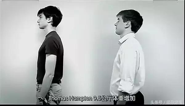 半夜肚子饿吃什么不会胖,有没有吃多少都不会胖的食物