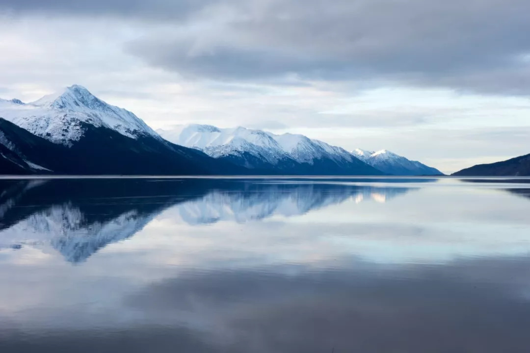 创作者视频招募计划,原创人招募合伙人