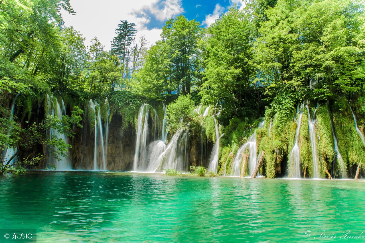 蘑菇管理定律来源,管理定律及点评