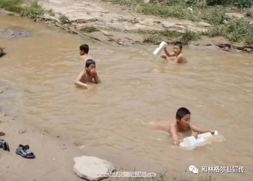 荐书稿的范文,荐的笔顺