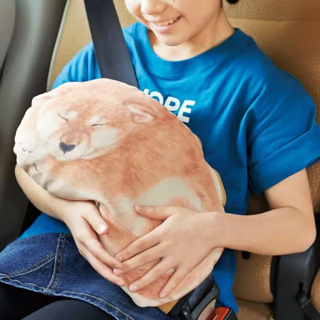 日本人家里东西太多,日本必备10种东西