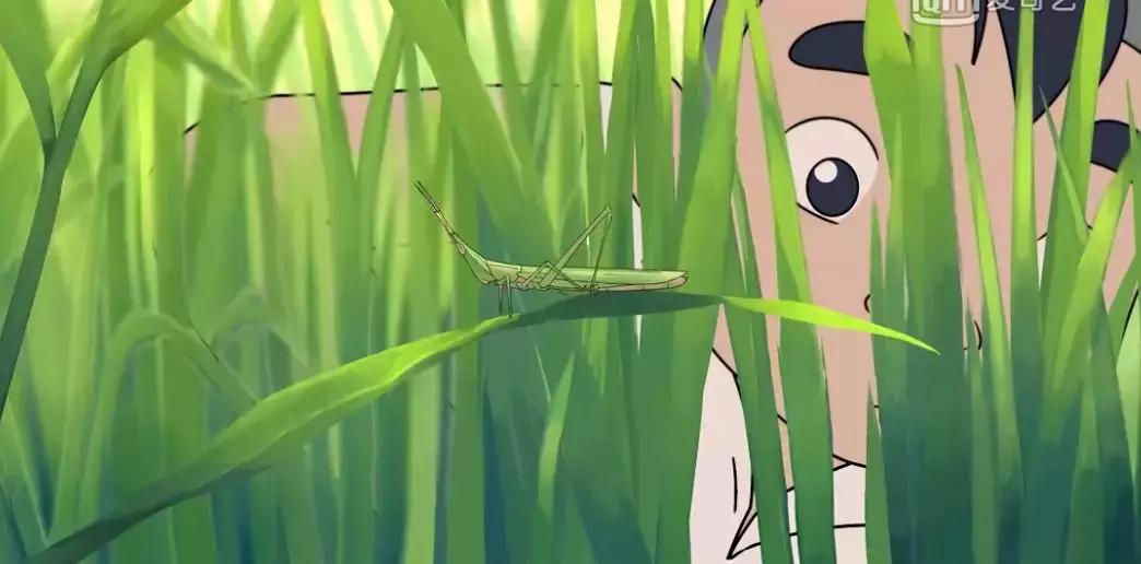 80后国产动画短片大全,国产搞笑动画短片