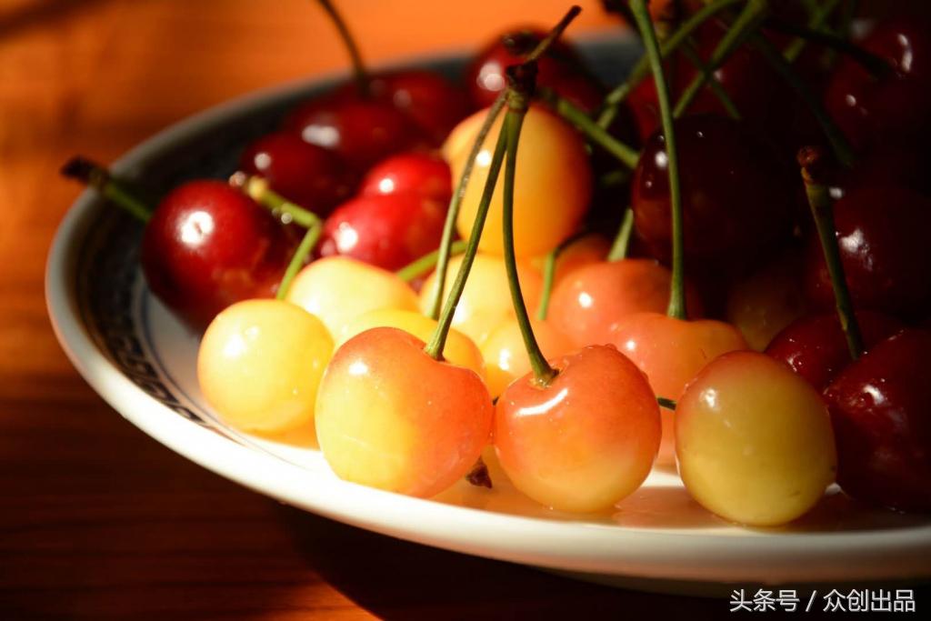 樱桃蔷薇,樱桃木槿