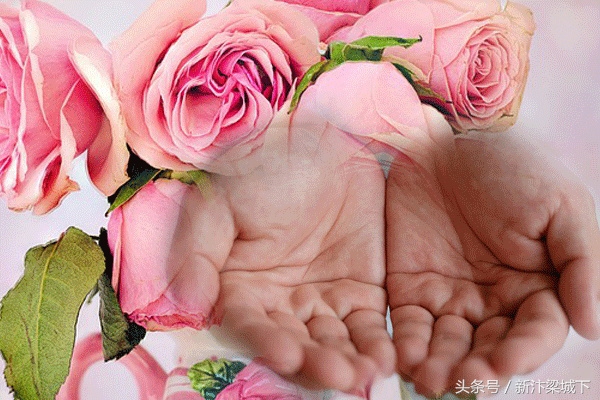 汴梁命理,八字看人的婚姻线