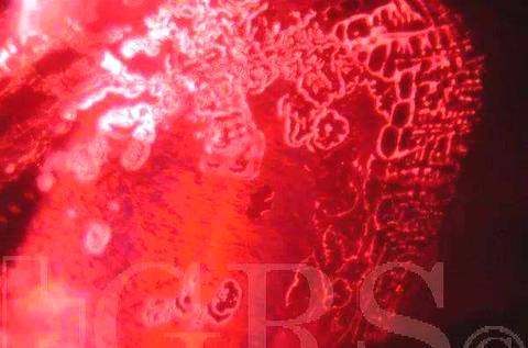 如何辨别红宝石真假鉴别图,泰勒彩宝里面的红宝石