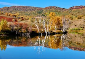 金秋坝上草原摄影,坝上秋天摄影攻略