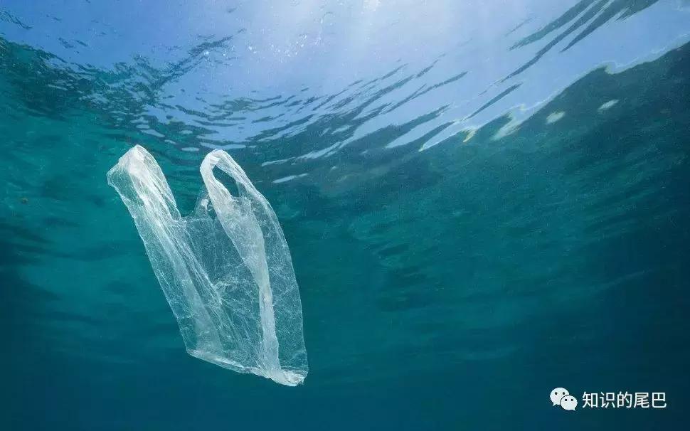 山竹扔垃圾桶,山竹扔垃圾桶里