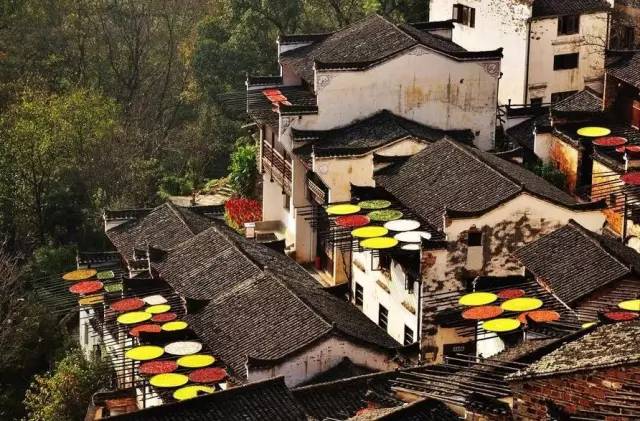 婺源10月,10-11月的婺源