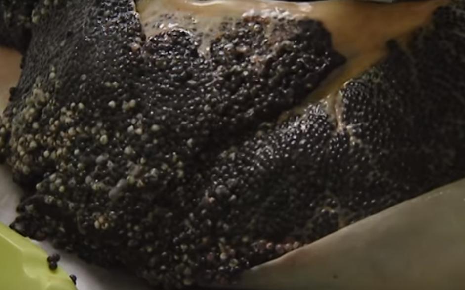 顶级鱼子酱美食,四大美食之一的鱼子酱